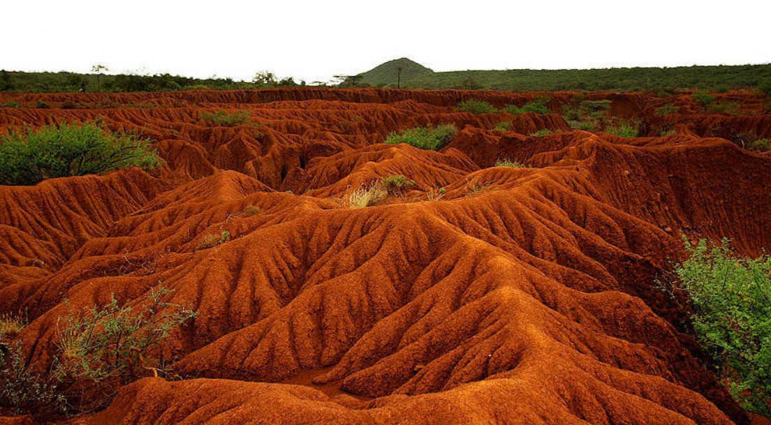 Soil Erosion and Habitat Disruption